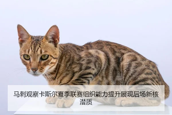 img_1783157131416_968_0_191.jpg | kaiyun