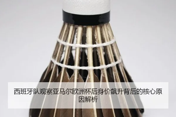 img_1783172363438_2477_0_113.jpg | kaiyun